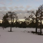 Lite molnigt vid starten